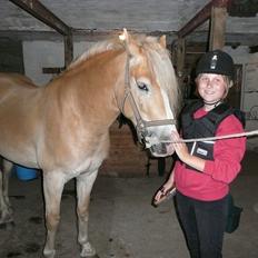 Haflinger Nemo Soldal