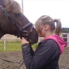 Hollandsk Sportspony KING<3