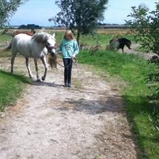 Anden særlig race Juro's L.A. Angel (Musse)