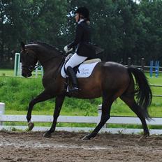 Anden særlig race Mokaia