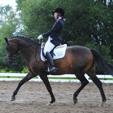 Anden særlig race Mokaia