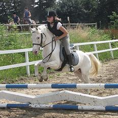 Anden særlig race Pletten |Elev pony |Rider ikke mere|