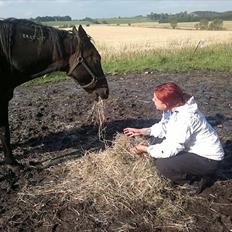 Traver Stelmach´s Callisto<3