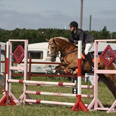 Haflinger Melina/ BELLA <3