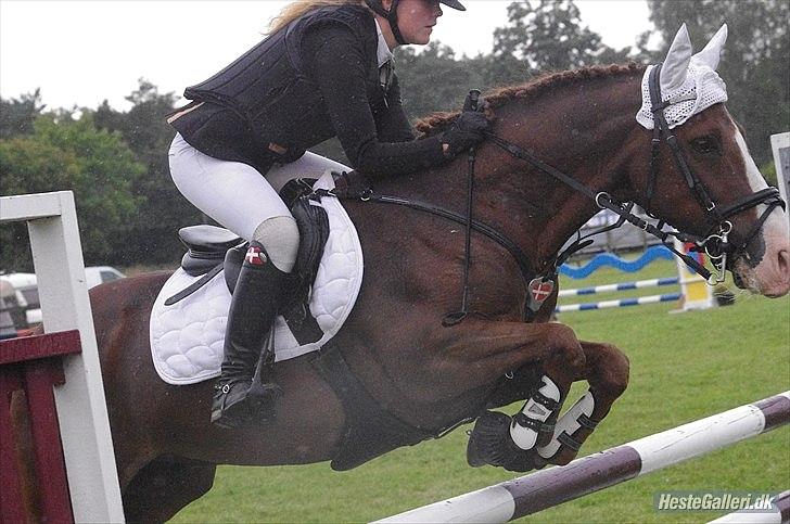 New Forest MISTY - Distriktsmesterskab 2011. billede 16