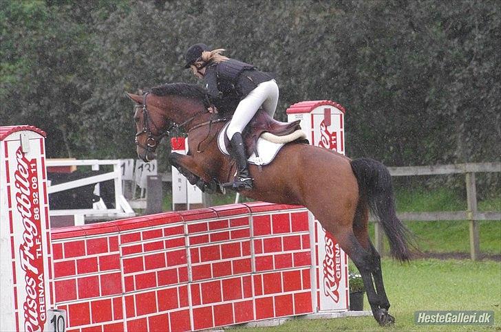 Anden særlig race Pilgaards Kiwi billede 13