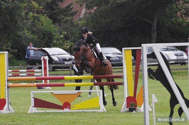 Anden særlig race Pilgaards Kiwi - Lækker' billede 1