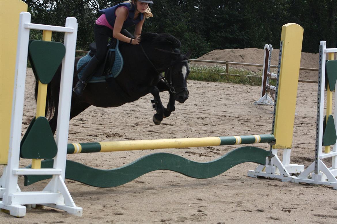 Welsh Pony (sec B) Pandarosa Cloe *SOLGT* - jump. Første gang på stor bane:) og med anden rytter end mig!! billede 11
