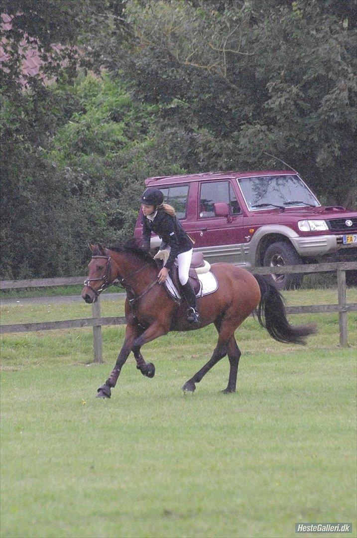 Anden særlig race Pilgaards Kiwi - Du så dejlig :* billede 19