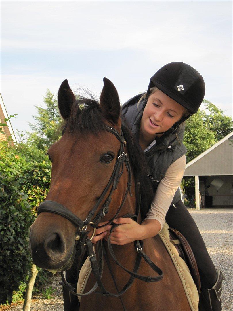 Anden særlig race Pilgaards Kiwi - Jeg elsker dig.! billede 2