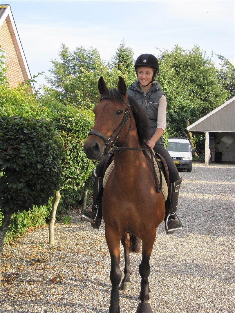 Anden særlig race Pilgaards Kiwi - Hjemme :D billede 6