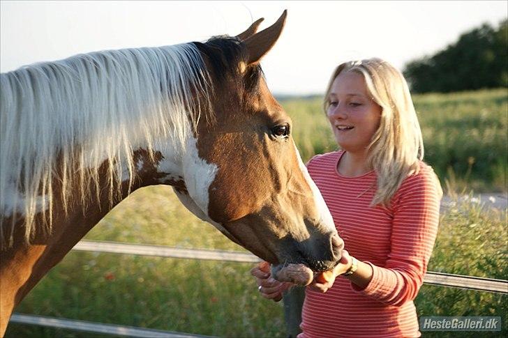 Anden særlig race Camino *CMNS* -  De to bedste i mit liv, dem der er der i medgang og modgang! ;*
Jeg ville ikke være foruden de to !  billede 5