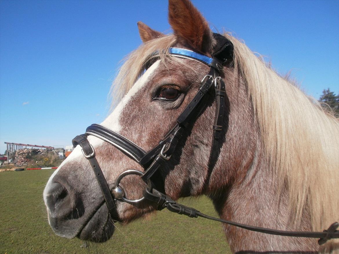 Anden særlig race Unique <3 - hov har lige fået øje på mine venner  billede 5