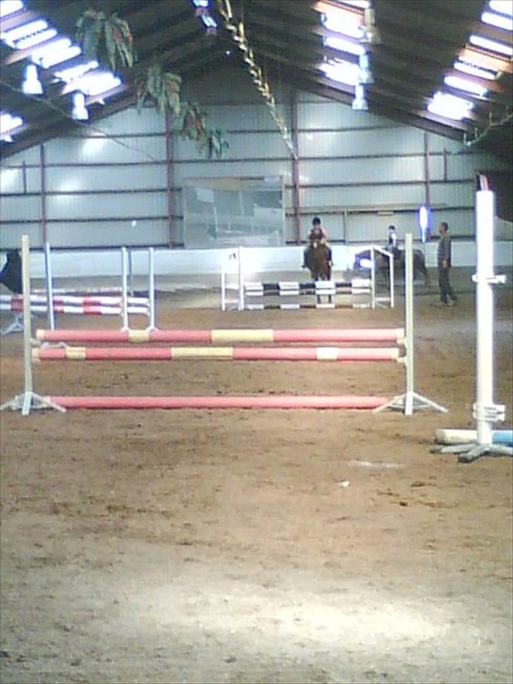 Anden særlig race Jackpot billede 7