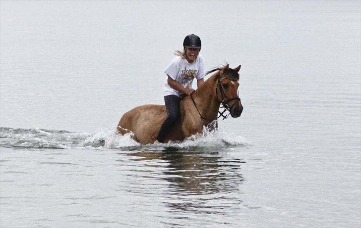 Anden særlig race Karlsbjerggårds Surprise  - Når vi hygger os aller mest! Den første tur vi havde sammen på stranden. Det var alt for skønt! Fotograf: Pernille billede 8