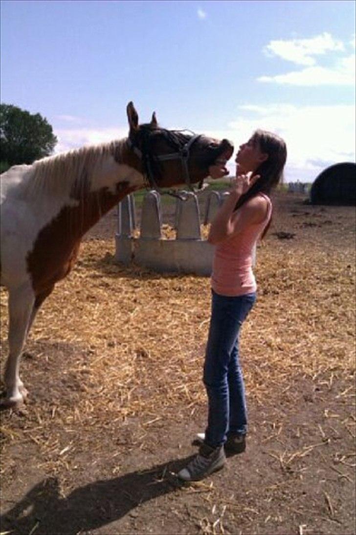 Anden særlig race Camino *CMNS* - På vores 2 års dag :*
Tiden er gået så hurtigt ! billede 3