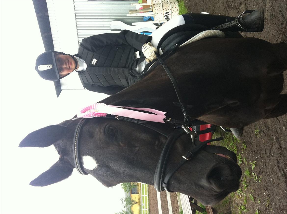 Welsh Cob (sec D) Dark Shadow <3 - afslutning af ridelejr 2011 billede 10