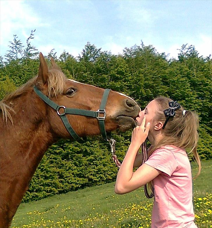 DSP Robin - Da Robin lærte at kysse!:*<3 billede 3