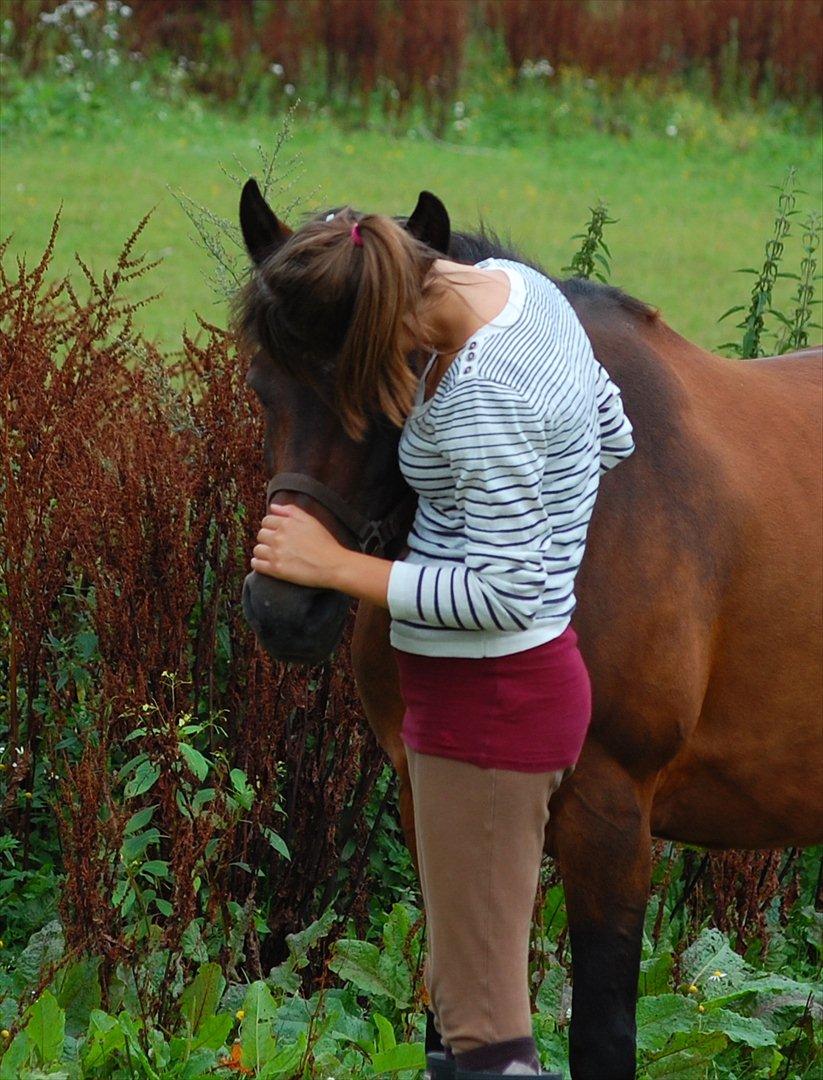 New Forest Moonlight    (rider) - elsker dig Moon<3 billede 16