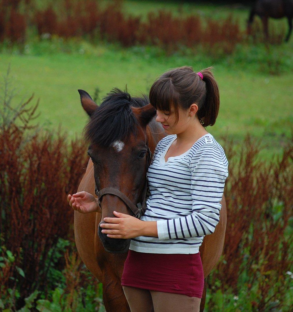 New Forest Moonlight    (rider) - moooooon<3 billede 17