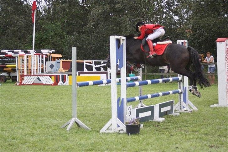 DSP Bæklunds Capone - Naja og Capone flyvende i MB** i DRK aug. 2011 billede 18