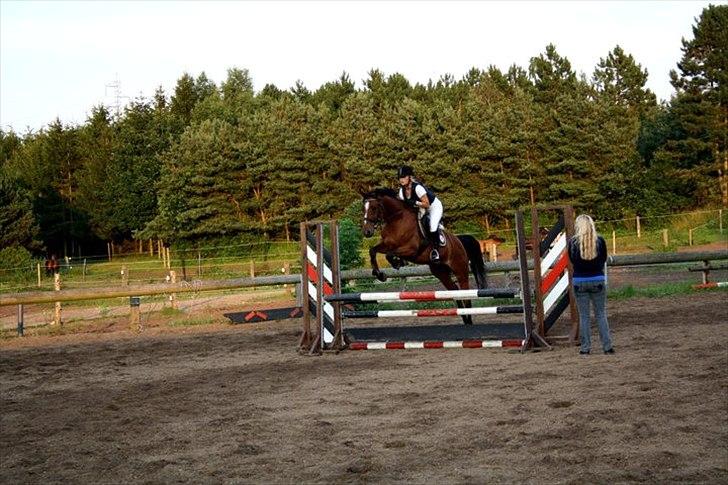 Ungarnsk Varmblod  Ramzes furioso Legény - død :'( billede 13