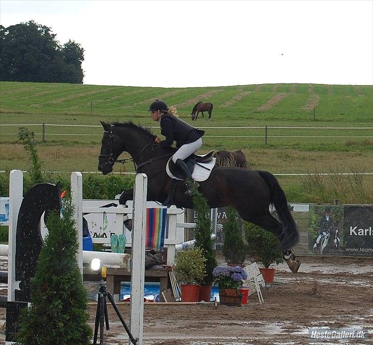 Oldenborg Højsteds Ninette - Ninette springer vandgrav til speed-derby :) billede 20