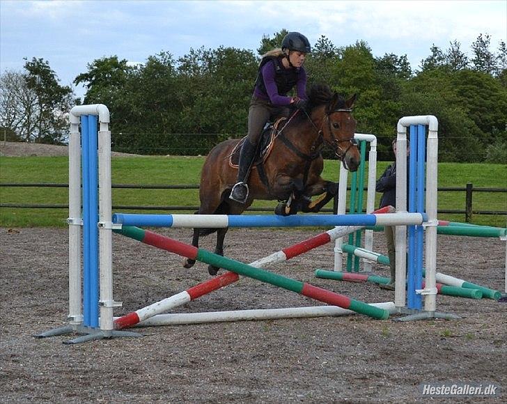 Anden særlig race Caroma´s Bill - den kan jo godt den lille ponymand.. :D
celina har taget dette billed :D billede 18