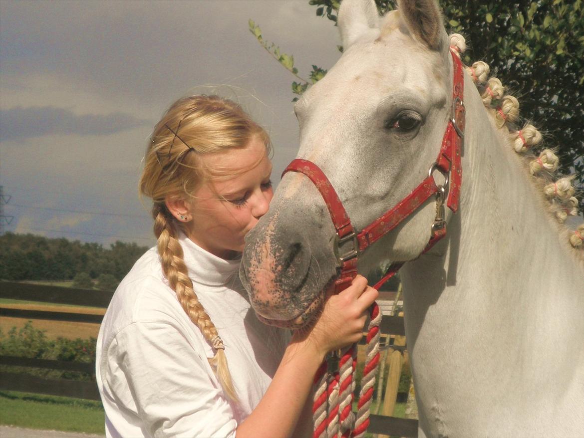 Anden særlig race lady pop *prinsessen* - min elskede pony foto:lillesøster billede 1