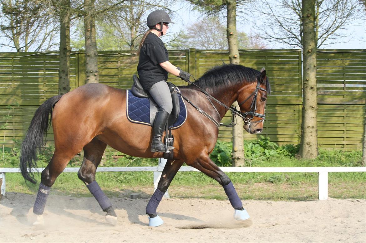 Holstener Casino Royale billede 8