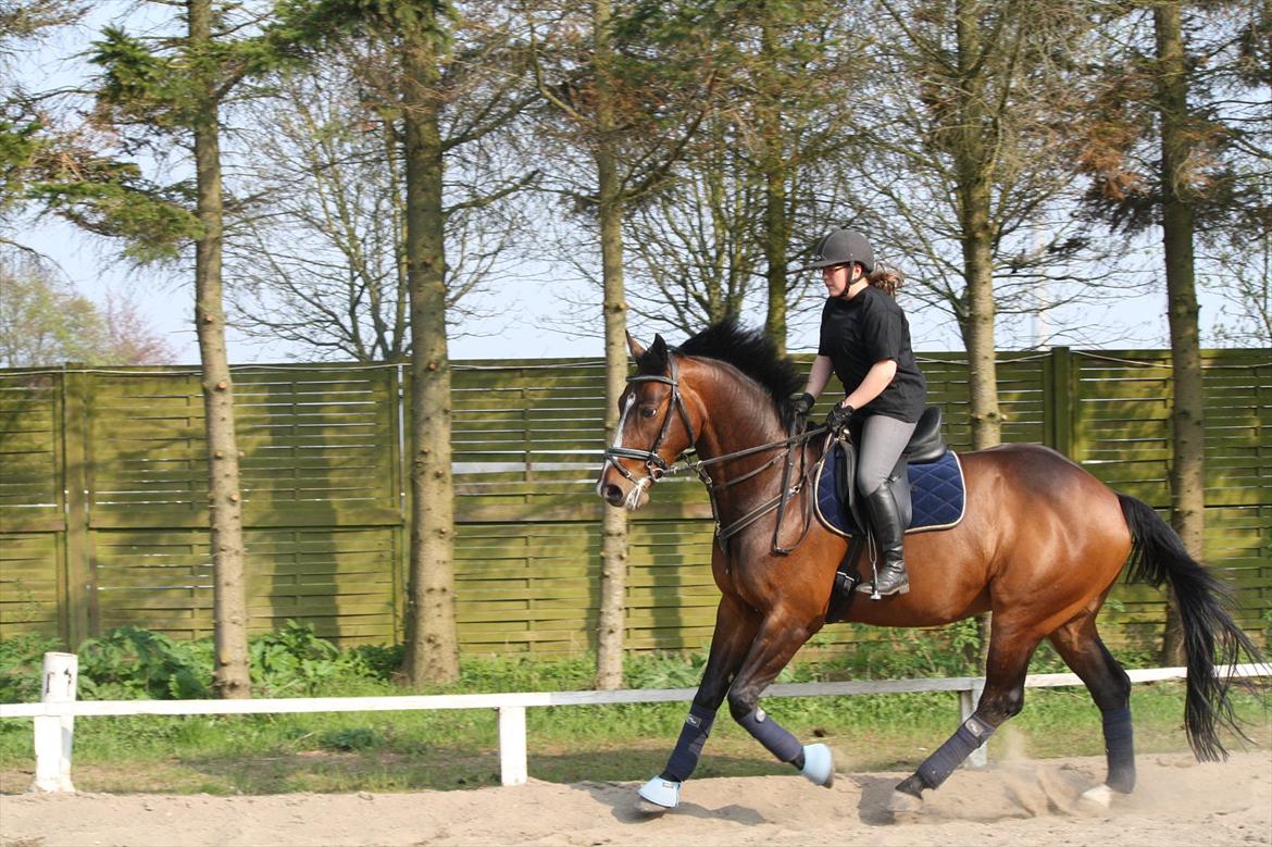 Holstener Casino Royale billede 11