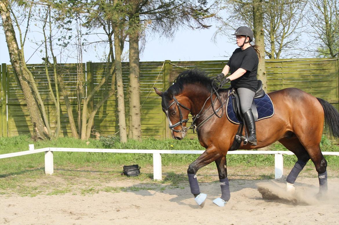 Holstener Casino Royale billede 13