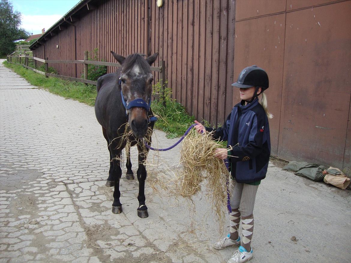 Anden særlig race "Freddie" Den Elskede<3 (Part) R.I.P billede 10