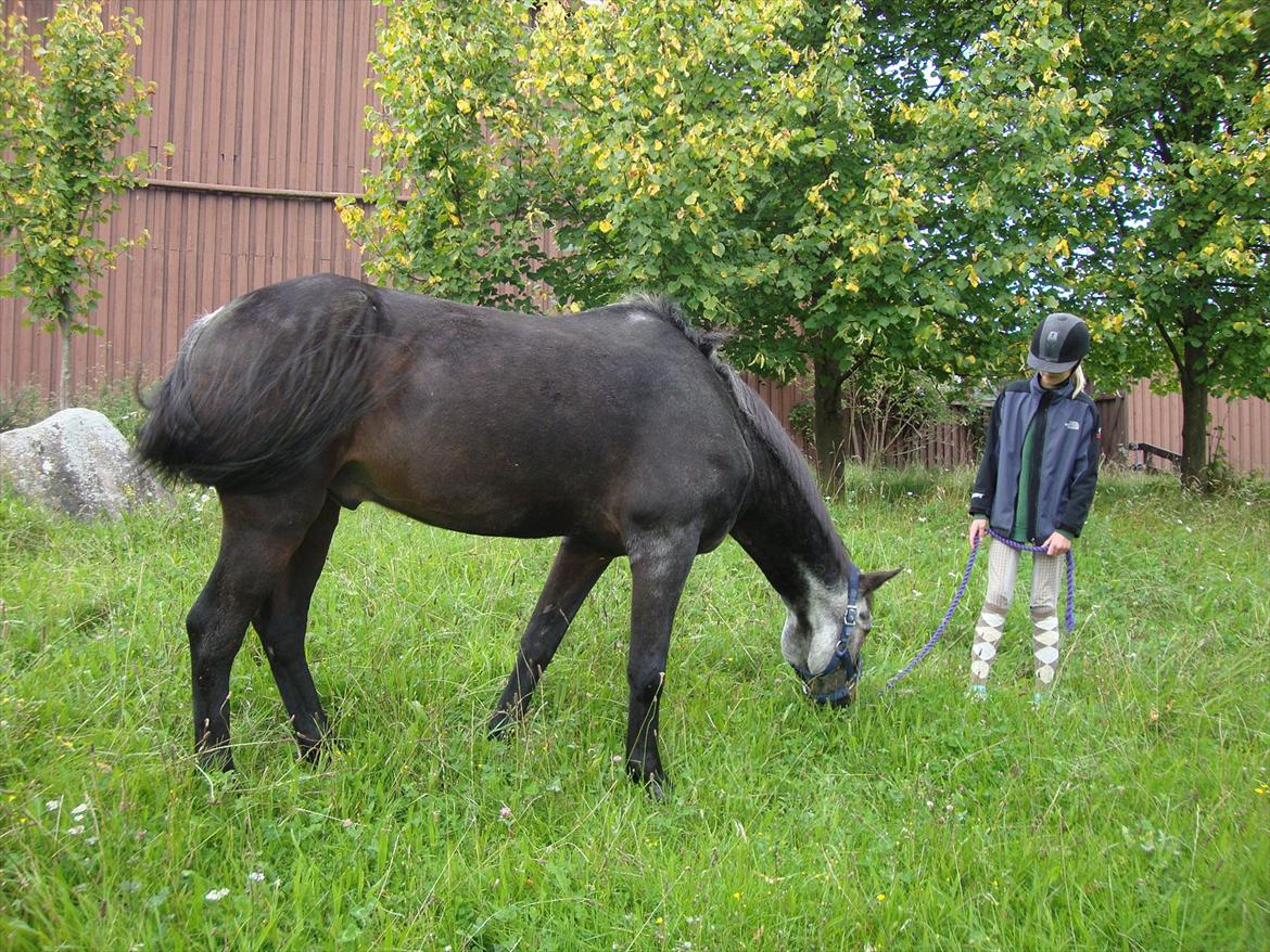 Anden særlig race "Freddie" Den Elskede<3 (Part) R.I.P billede 15