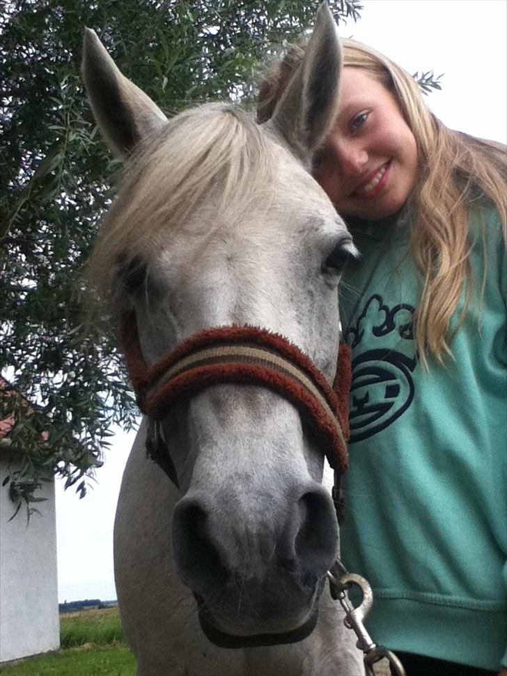 Anden særlig race Juro's L.A. Angel (Musse) billede 1