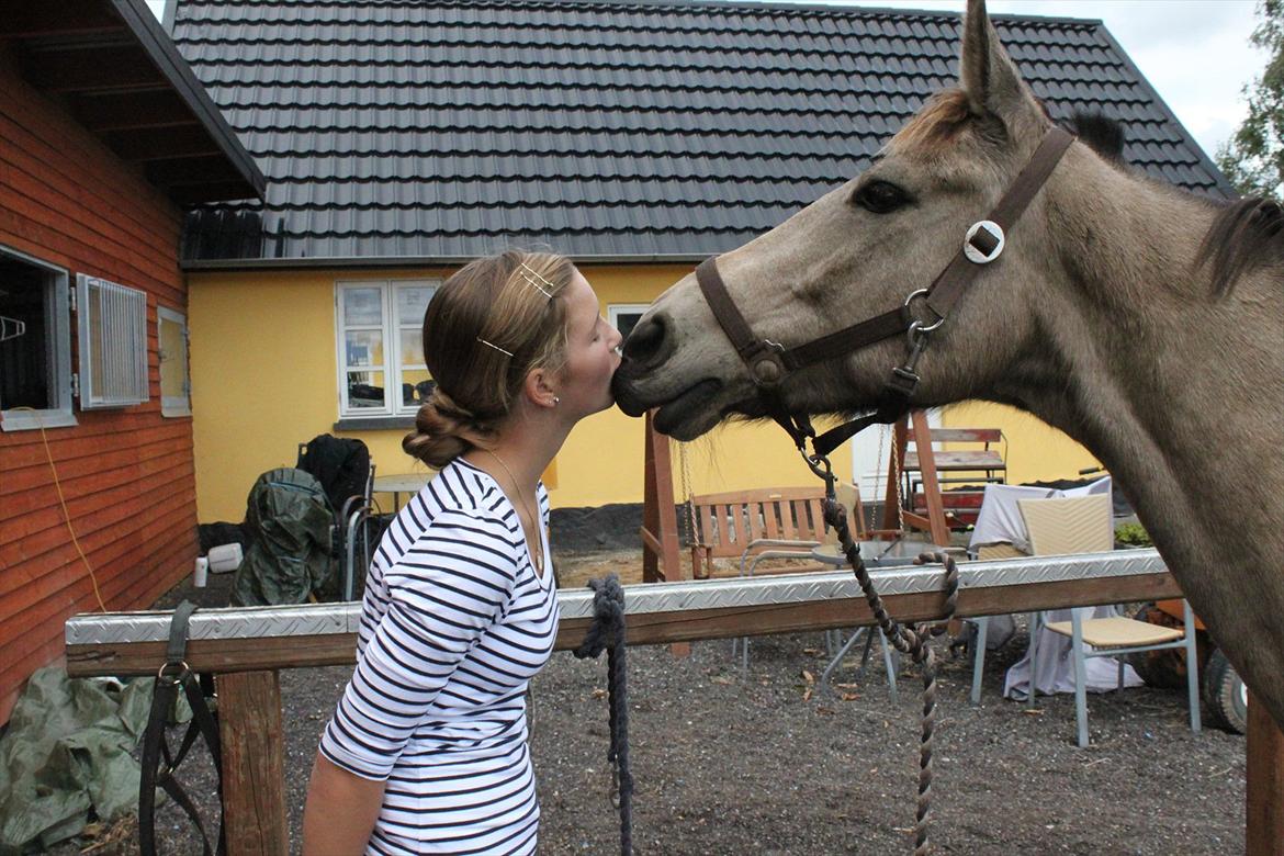 Anden særlig race Chiano :-) <3 solgt! - 19. Jeg elsker dig helt op til skygerne og tilbage igen:-* foto; Thea <3 billede 15