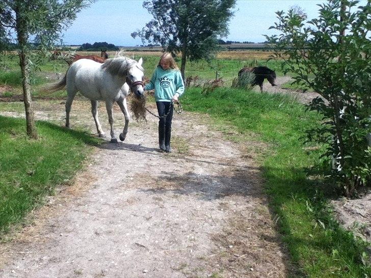 Anden særlig race Juro's L.A. Angel (Musse) billede 3