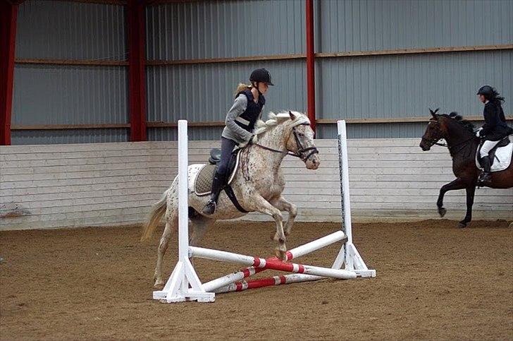 Anden særlig race Ofelia | Min evige optur.<3 | - Ofelia og mig, ridelejr 2011 - Foto: Sofie Nymark. billede 3