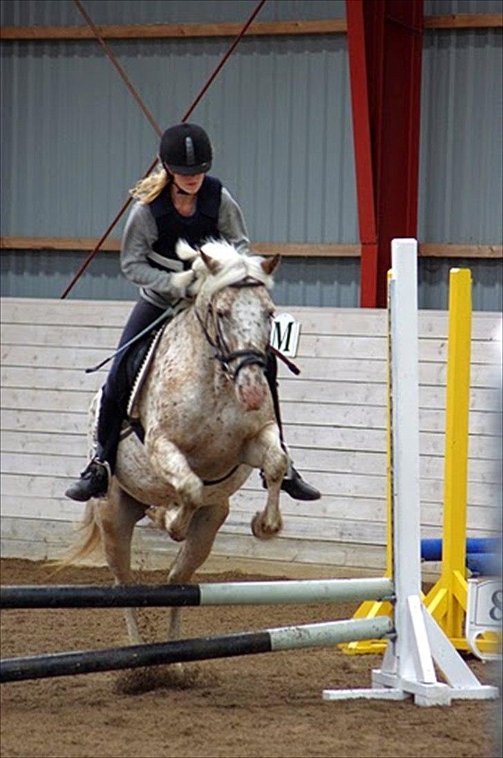 Anden særlig race Ofelia | Min evige optur.<3 | - Ofelia og mig, ridelejr 2011 - Foto: Sofie Nymark. billede 2