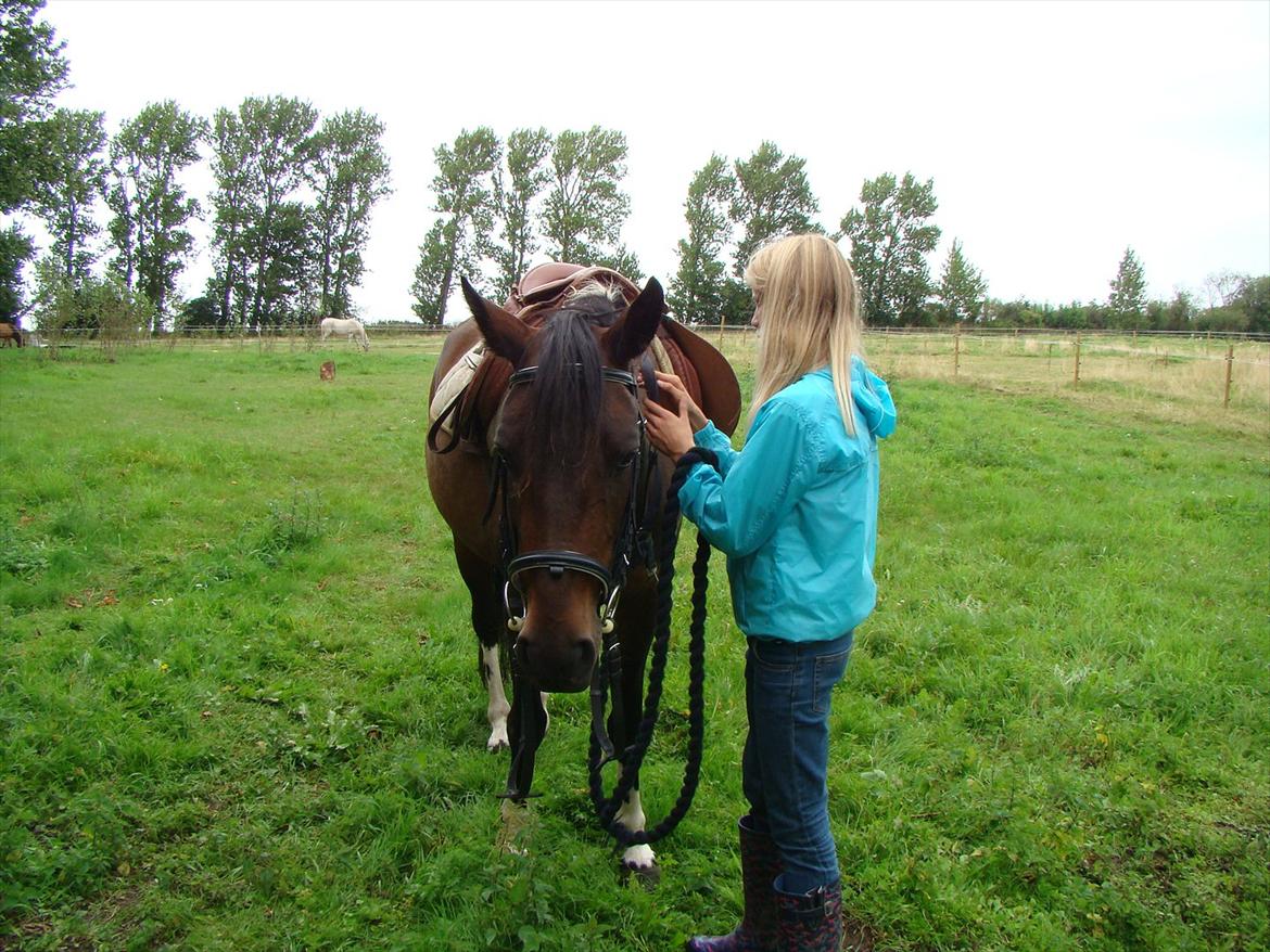 Anden særlig race Jackie´s figther (Flicka) billede 7