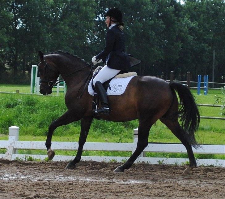 Anden særlig race Mokaia billede 1