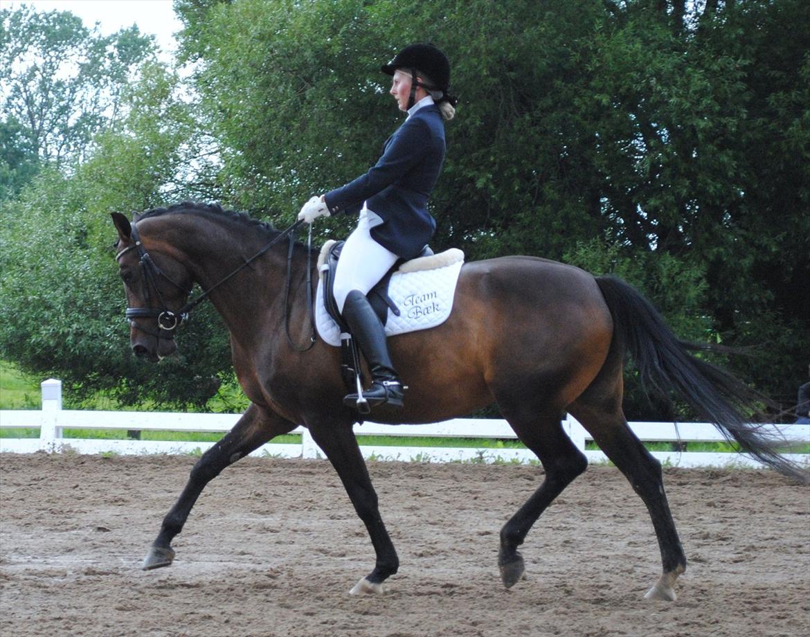 Anden særlig race Mokaia billede 2