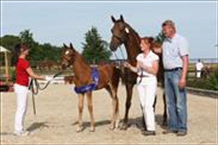 Dansk Varmblod Alibelle - Alibelle og Don Alivan 2009 billede 4