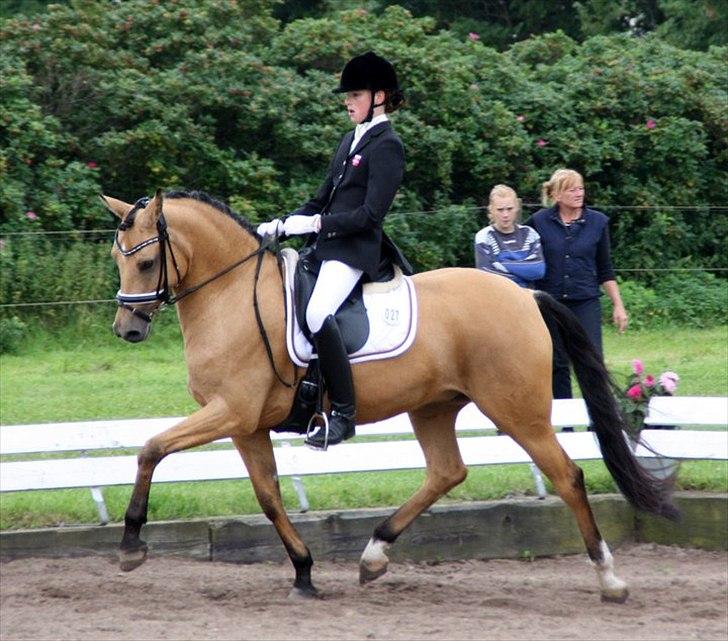 Tysk Sportspony Bodethal's Romy A-pony - C-stævne turk august 2011 romy 5 år vinder  
LA2 75% /LA3 72%/ LA3 71% billede 17