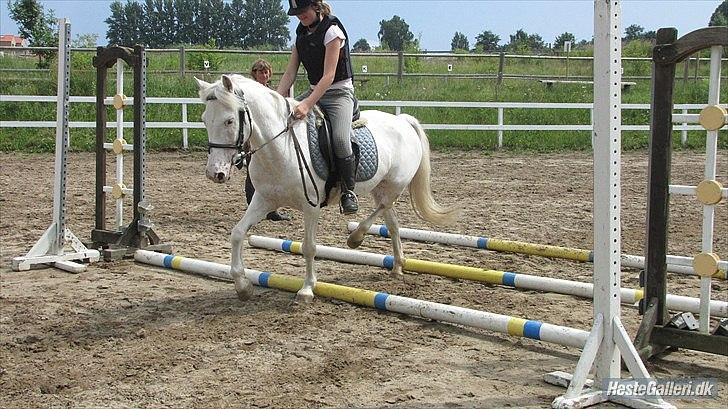 Anden særlig race Pletten |Elev pony |Rider ikke mere| - Riderlejer 2011! xD 
Første lejer sammen <'33

Foto: *Sofie Loft Strandgaard* L billede 9