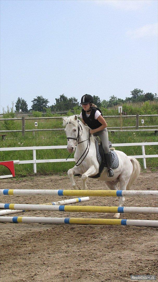 Anden særlig race Pletten |Elev pony |Rider ikke mere| - Riderlejer 2011! xD 

Foto: *Sofie Loft Strandgaard* L billede 16