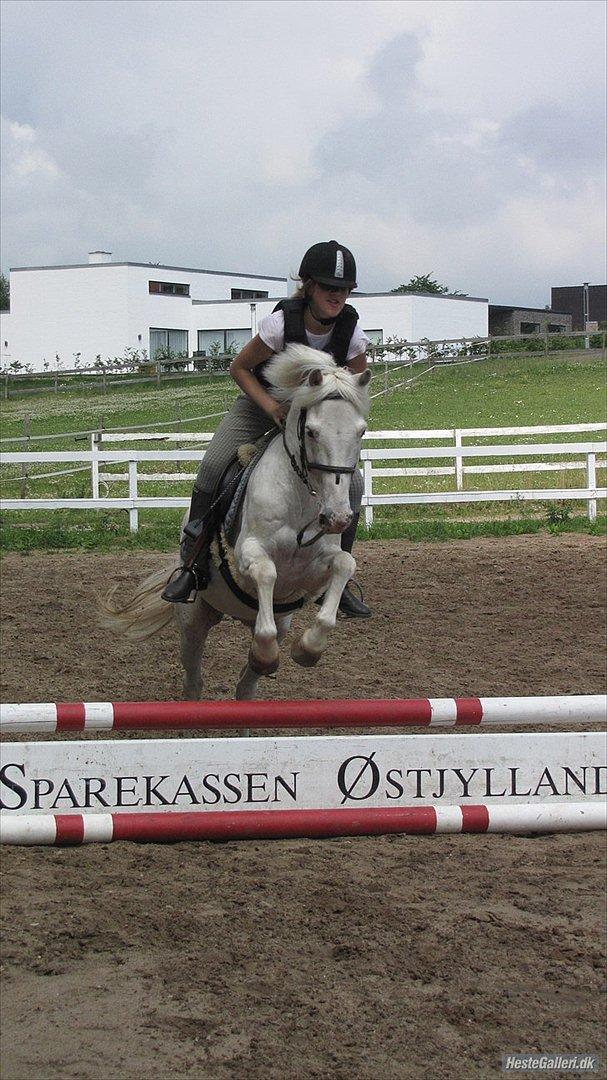 Anden særlig race Pletten |Elev pony |Rider ikke mere| - Jeg ser så mega dum ud prøv at se min mund!

Foto: *Sofie Loft Strandgaard* L billede 7