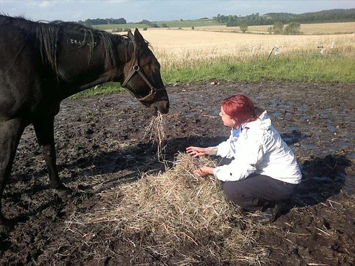 Traver Stelmach´s Callisto<3 - hø tid!:D<3 billede 2