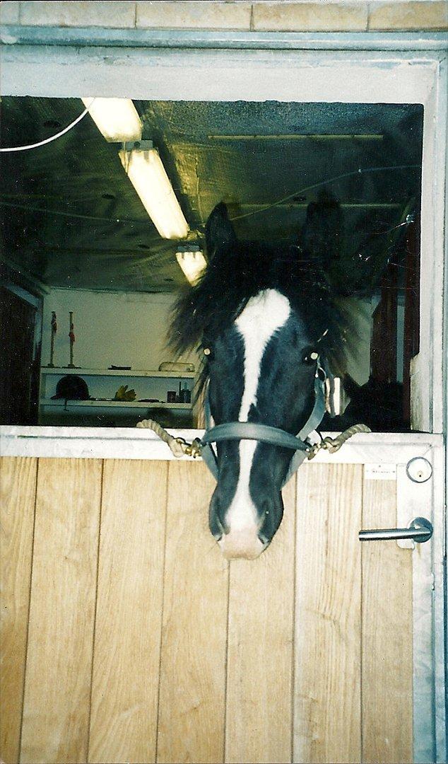 Tinker Albert  billede 19