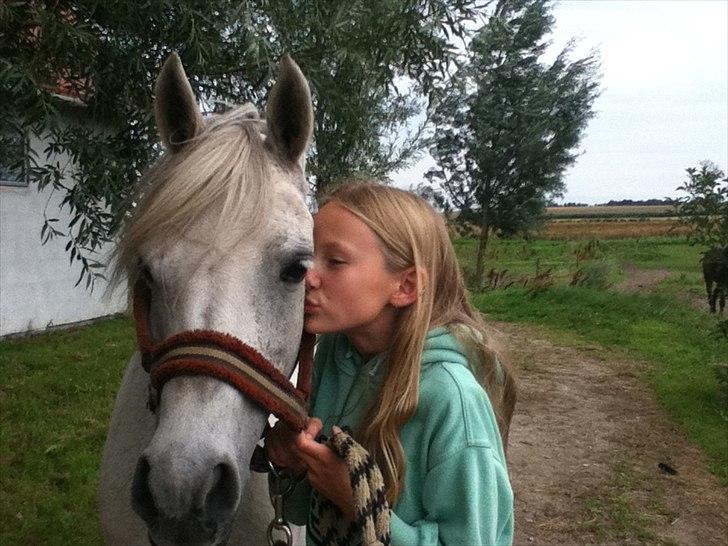 Anden særlig race Juro's L.A. Angel (Musse) billede 5